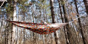 hammock hanging in the woods
