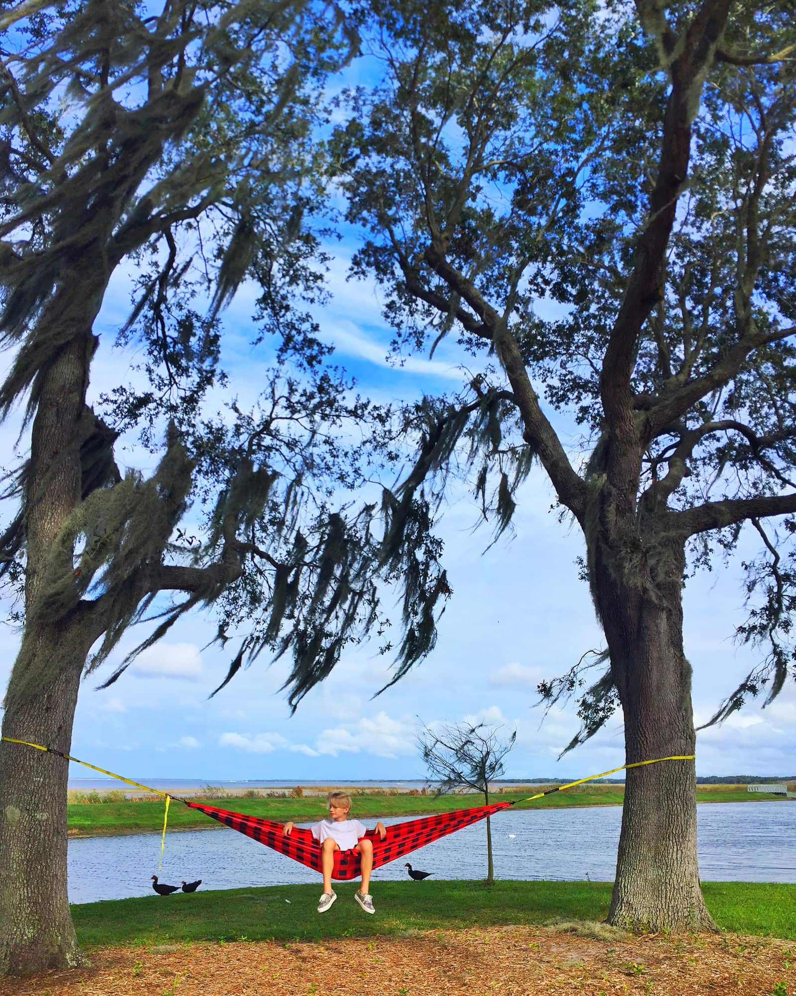 The Best Places to Hammock in Florida HammockLiving