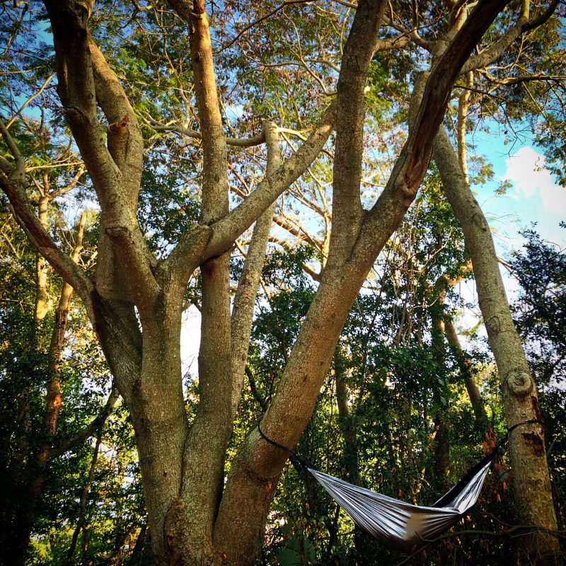 The Best Places to Hammock in Florida HammockLiving