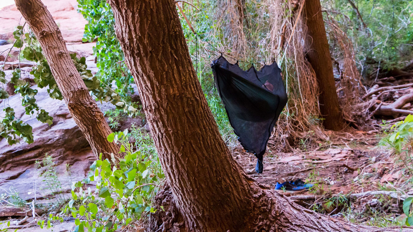 Gear Review Hummingbird Hammocks HammockLiving