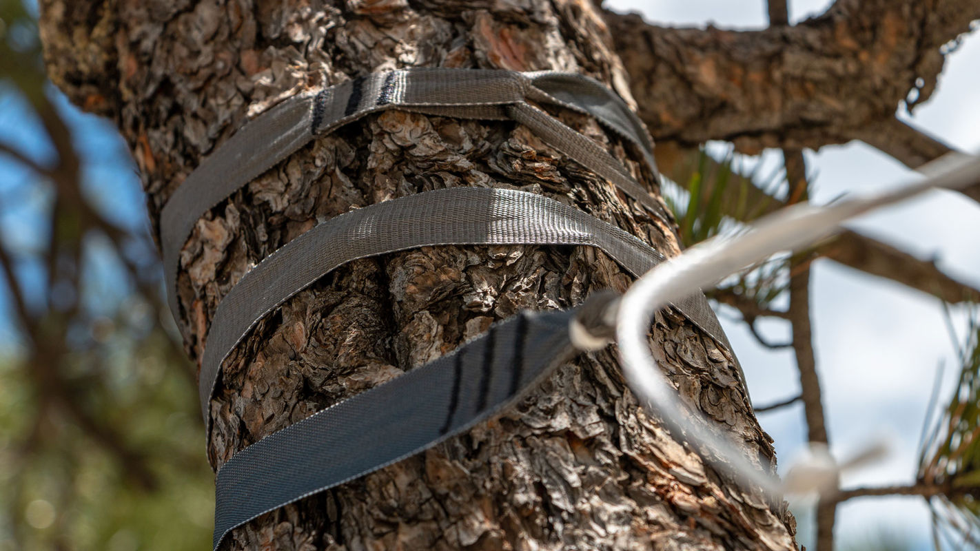 Gear Review Hummingbird Hammocks HammockLiving