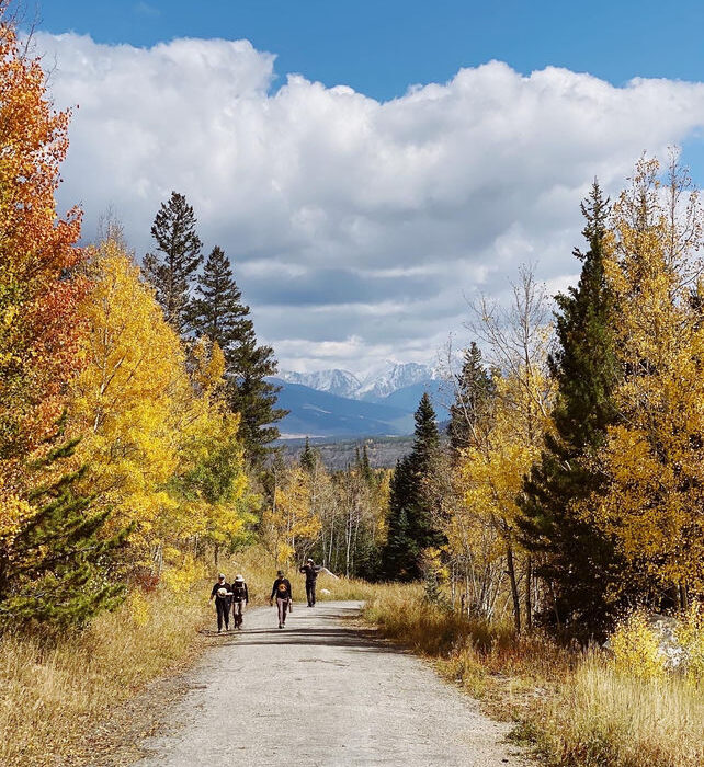 Where to See Fall Colors in Colorado